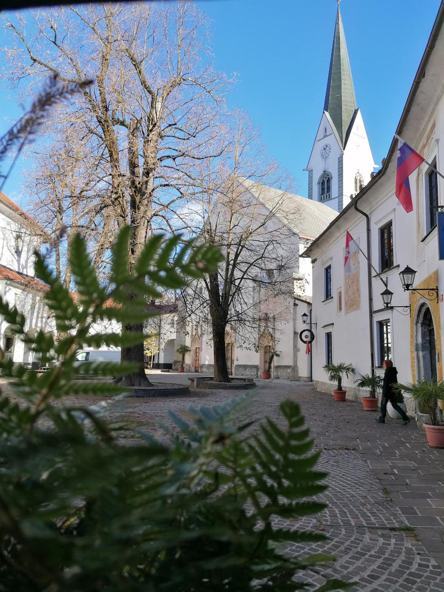 Apartamento Vila Radol'ca Radovljica Exterior foto